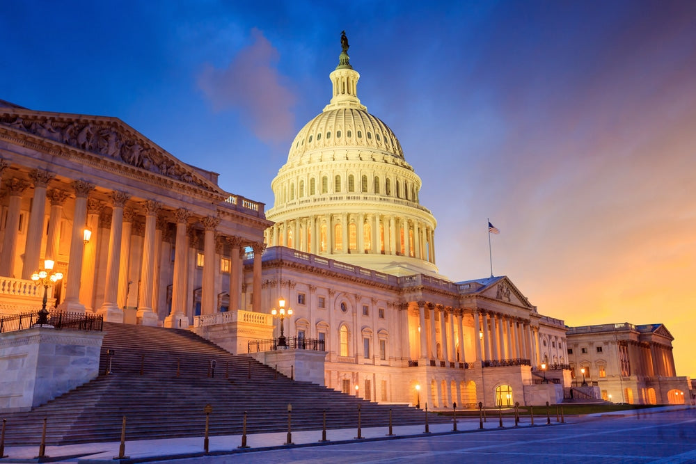 Life-Changing Political, Cultural and Personal Experiences